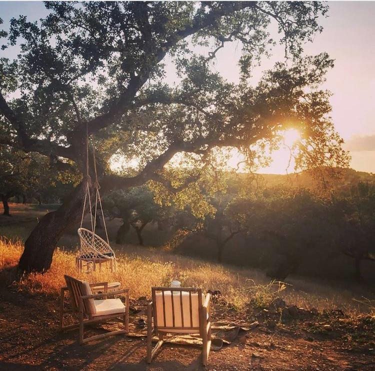 La Siesta Del Naranjo Villa Монестерио Екстериор снимка